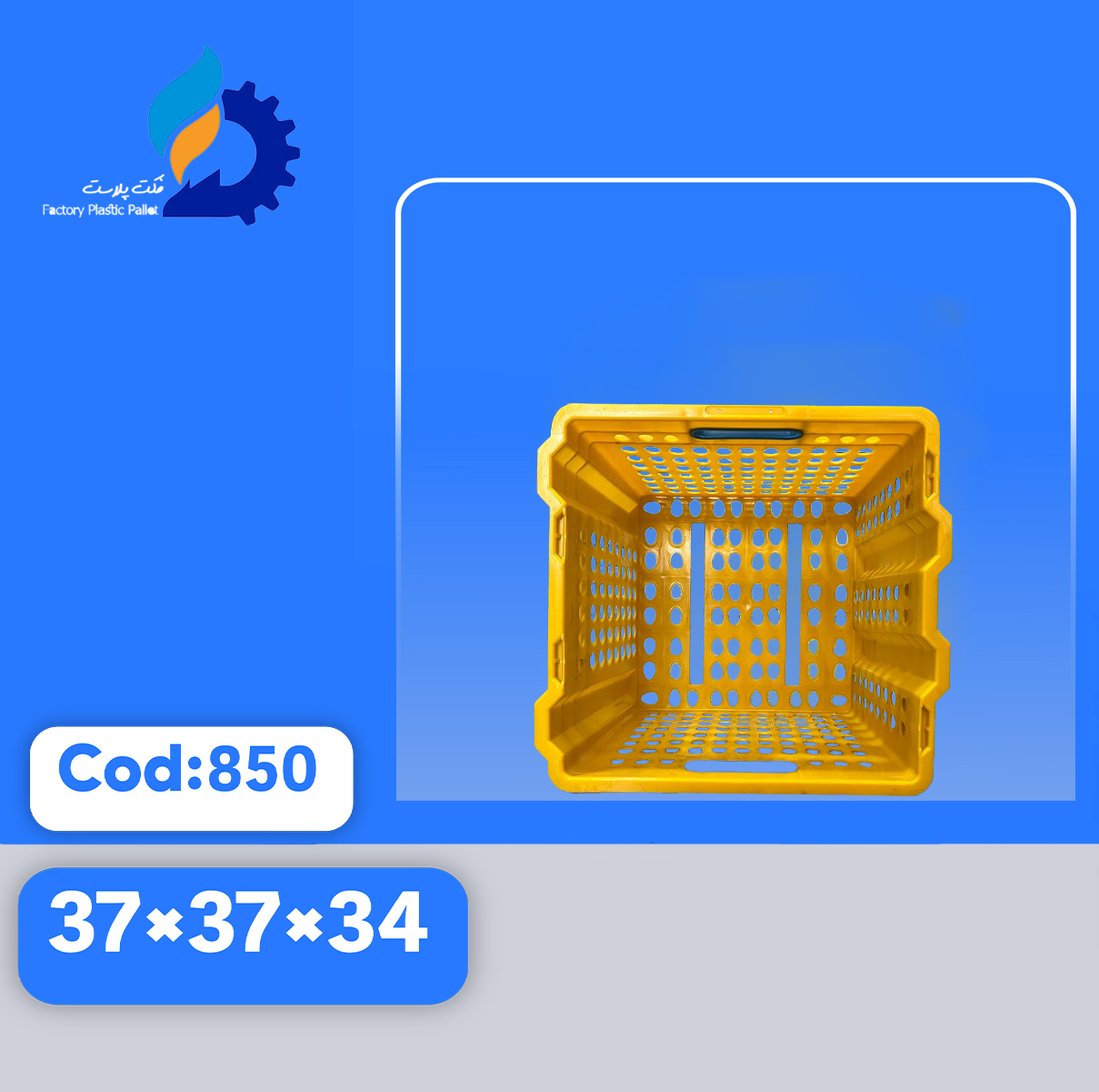 سبد حمل تخم مرغ کد 850